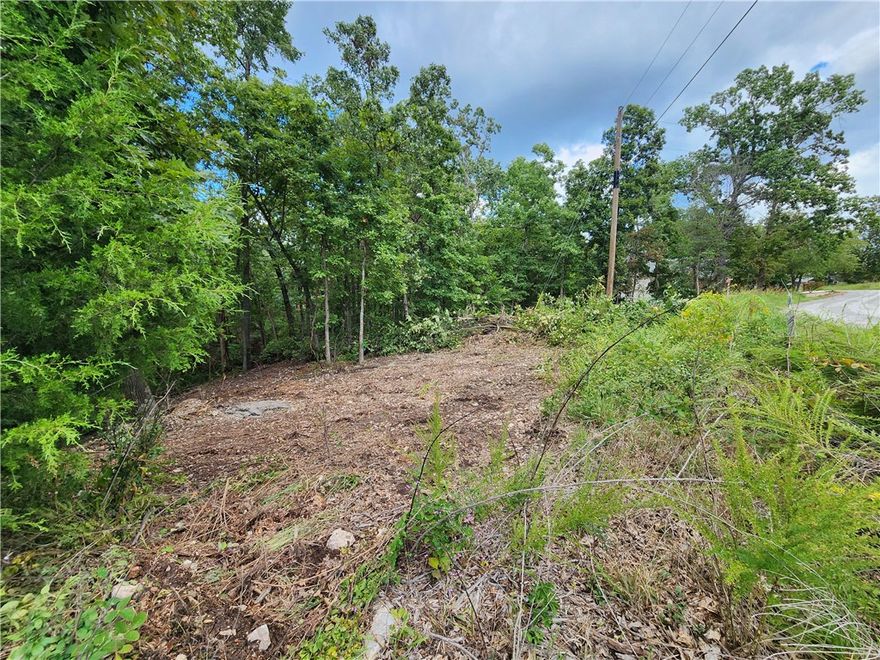 Beautiful, large golf course frontage lot located on the 8th Green on Highlands Golf Course (longest of the BVV courses & offers driving, pitching, chipping & putting greens).  Near Lake Loch Lomond marina, Branchwood Recreation Center’s gym & indoor pool, pickleball court, disk golf, walking trails, & more. Build your beautiful dream home on this .57-acre lot that has perked for a 3-bedroom! Road is paved and power at the street. Lots in this area of Bella Vista are flatter than its southern neighbors. Immerse yourself in the natural beauty of the Ozarks, enjoy the Bella Vista amenities, and get away from the hustle & bustle!