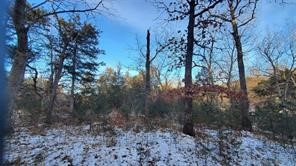 Beautiful land with lots of wild life. Deer graze in the yard across the street, lots of fresh deer tracks in the snow! Peaceful neighborhood without any close neighbors. Wonderful lot to build on. Gentle slope on lot.