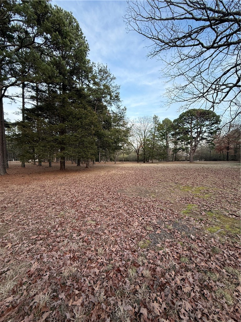 Nebo Acres Phase l - Land