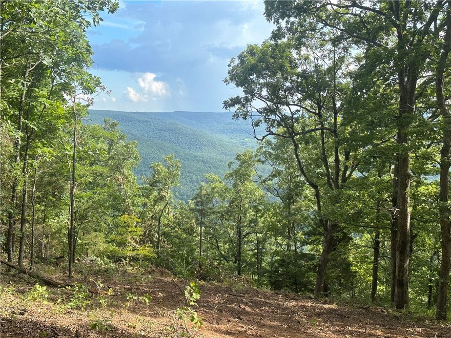 Breath taking mountain top views, close to Hwy 7, water and electric available, and no building restrictions.  Large hardwood timber with multiple building sites.  This is a must see if you are looking for a building site with a view in Newton County.  More land available.