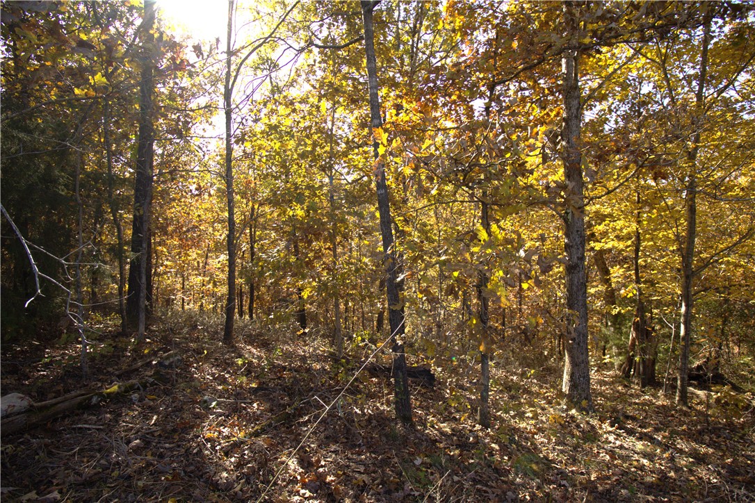 Rountree Sub Bvv - Land