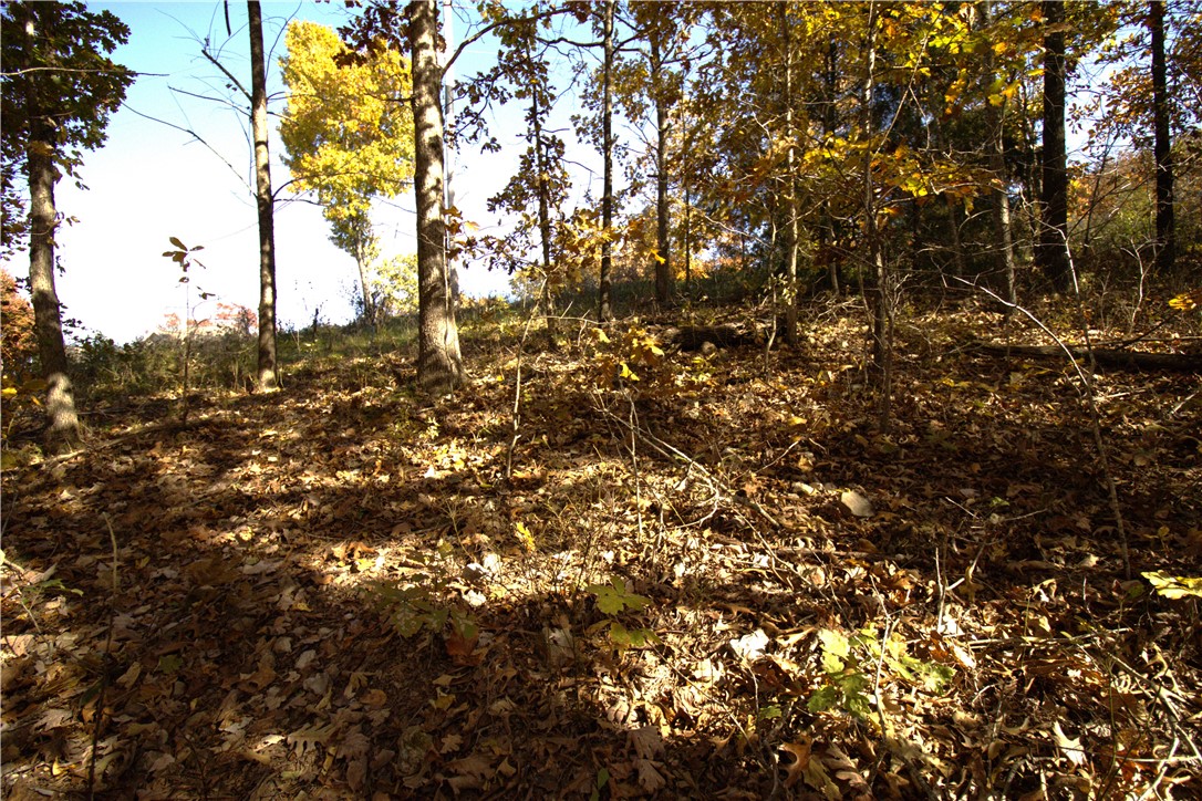 Rountree Sub Bvv - Land