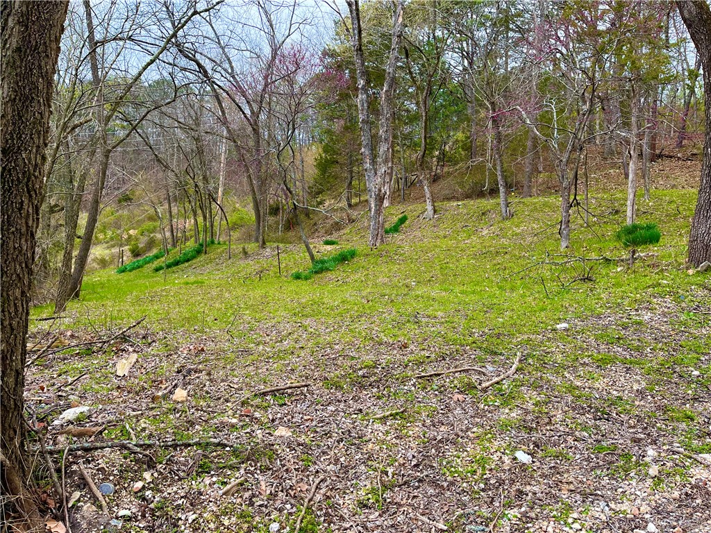 Clayton Surv To The City/Eurek - Land