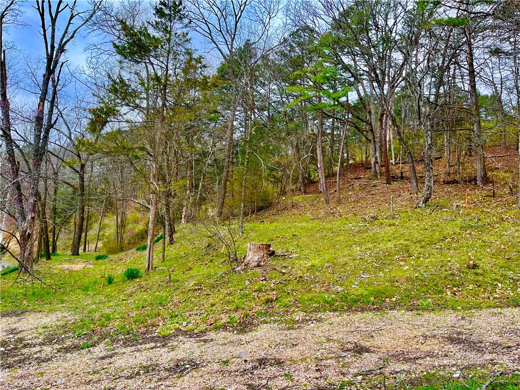 Clayton Surv To The City/Eurek - Land