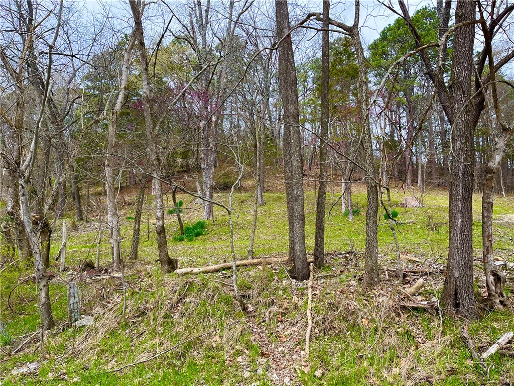 Clayton Surv To The City/Eurek - Land