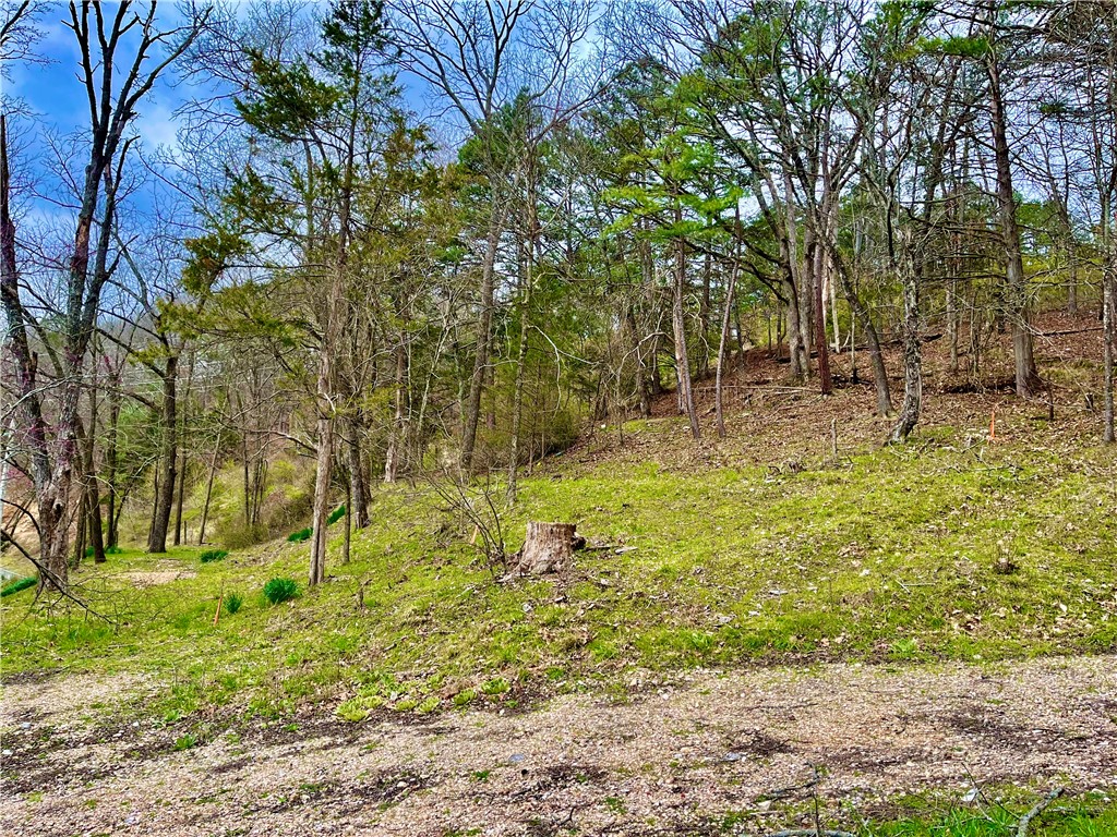 Clayton Surv To The City/Eurek - Land