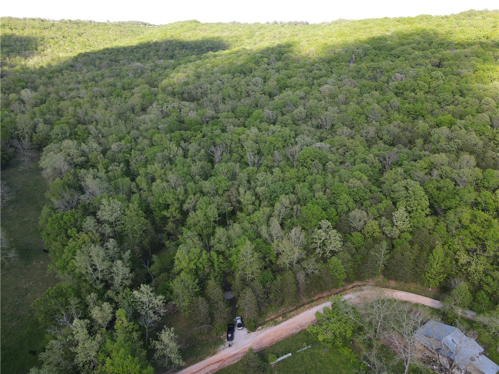 Looking for the perfect off-grid retreat or hunting getaway? This 19.18-acre property in Witter, AR offers seclusion, wildlife, and natural beauty. Multiple wet-weather springs and creeks run through the land and feed into a larger creek that holds water most of the year. You'll find plenty of deer and turkey roaming the property, and scenic bluffs add to the appeal. Whether you're building a hunting cabin or just want to escape the noise, this land offers peace, privacy, and possibility. Seller is open to owner financing.