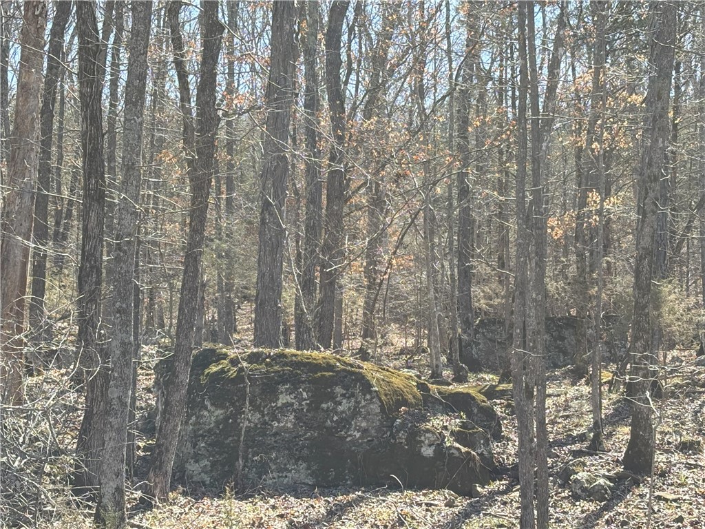 Bill Hauser Sub - Land