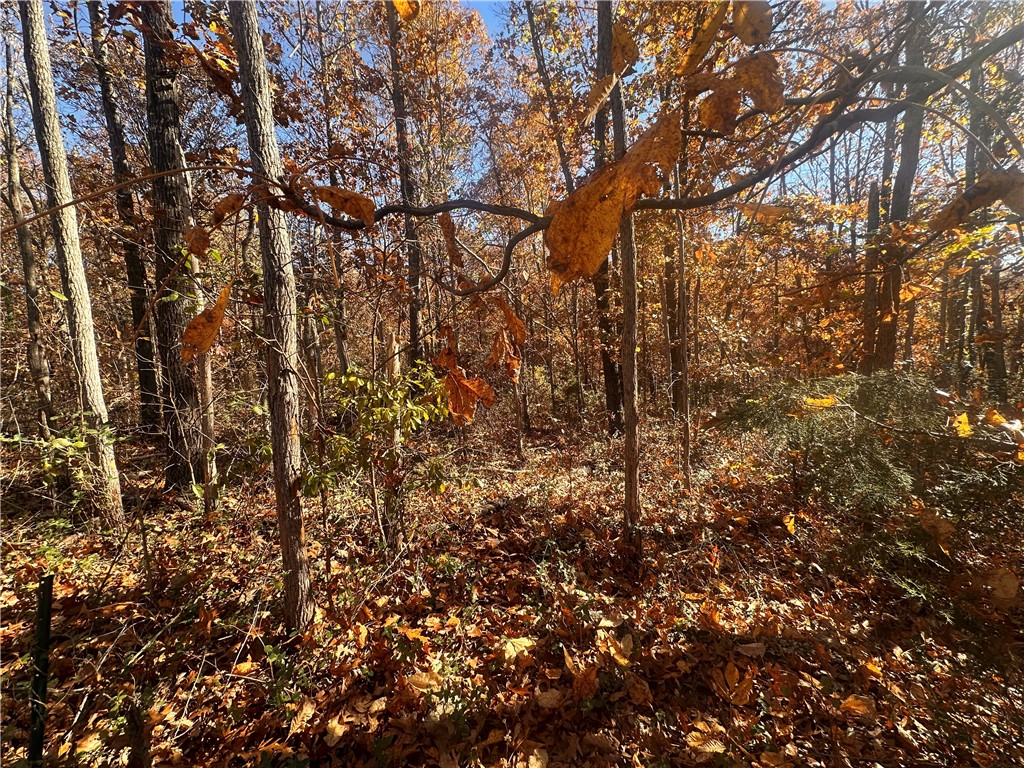 Rolling Hills Estates Rurban - Land