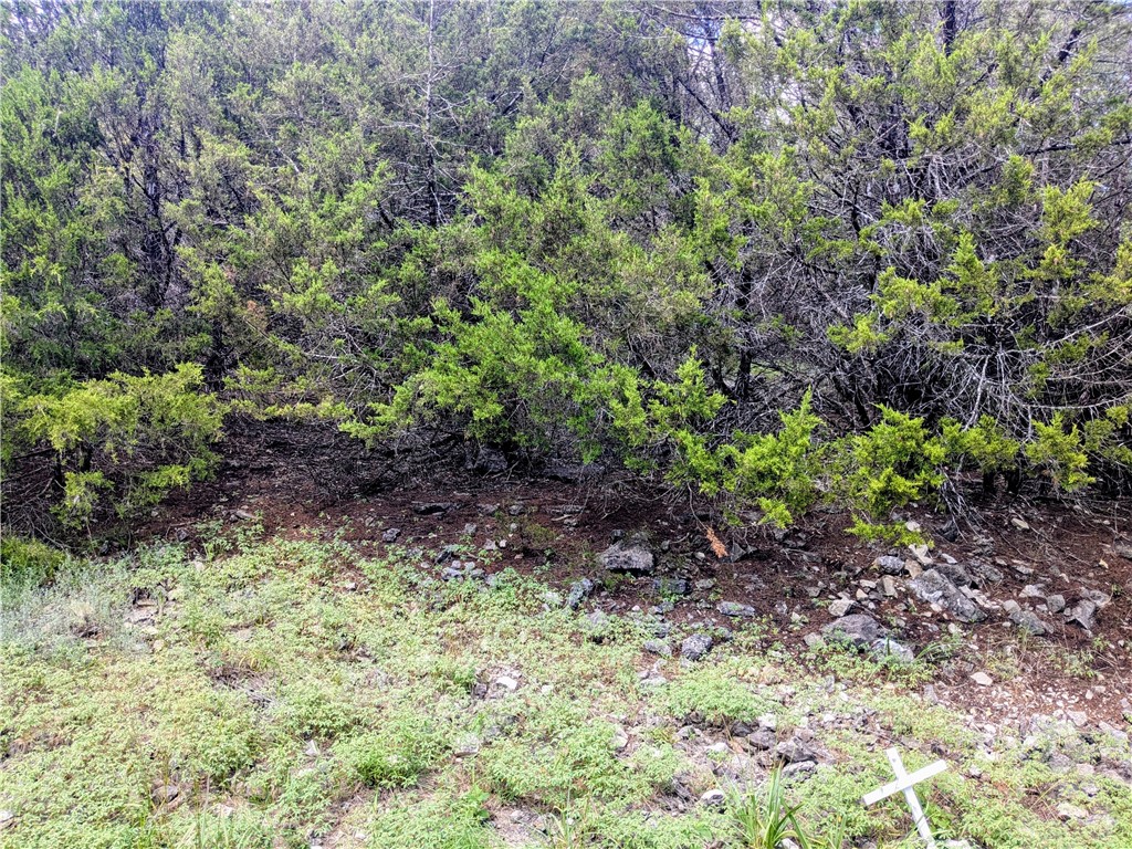 Unit 115 Holiday Island - Land
