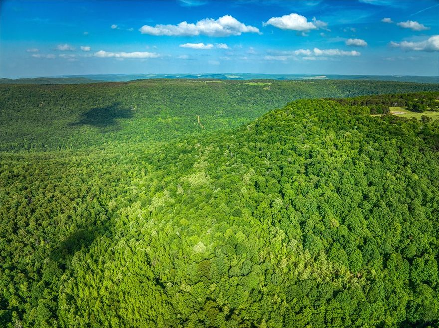 awesome parcel of land, however this land is land locked. borders the National Forest.