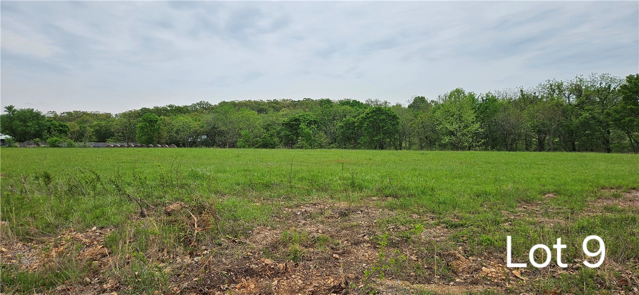 Build your dream home on this peaceful piece of property. Rural water is available and septic is needed.
Only 9 minutes from Walmart Supercenter and close to other shopping. Siloam Springs Schools.