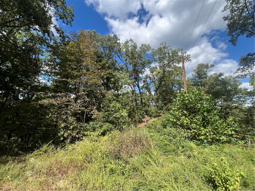 Builders and bikers! Don't miss this beautiful lot that backs up to a Back 40 trail head. Purchase in Bella Vista and enjoy access to a large number of amenities: Walking/biking trails, 7 recreational lakes, 6 golf courses, rec centers, pools, tennis and pickelball courts and more.