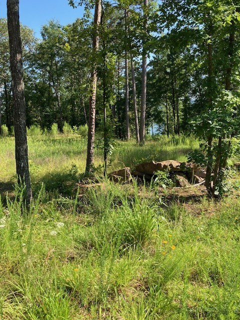 Cleared, leveled, and ready to build! This prime lot near Greers Ferry Lake features a completed perc test, established driveway, utilities at the street, and finished dirt work. Located in Woodland Shores, just minutes from lake accessābring your builder and start right away!