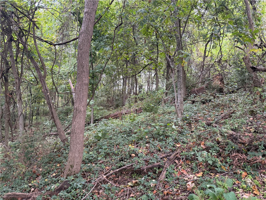 Mo Ark View Estates - Land