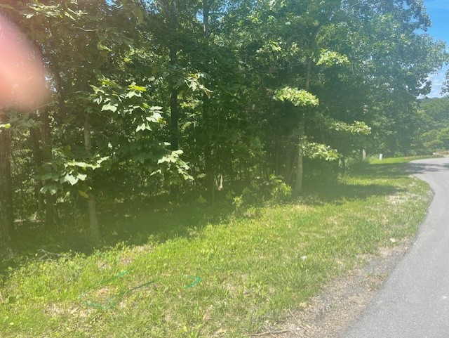 Nestled amid a tranquil embrace of mature trees, this exceptional .33-acre lot offers a rare blend of seclusion, natural beauty, and prime location. Backing directly onto the picturesque Tunnel Vision Trails, this property invites you to wake each morning to birdsong and dappled sunlight filtering through the leafy canopy. Whether you’re imagining a cozy two-bedroom getaway or a spacious three-bedroom retreat, the lot’s versatile topography and generous buildable area provide the perfect setting for your future home.