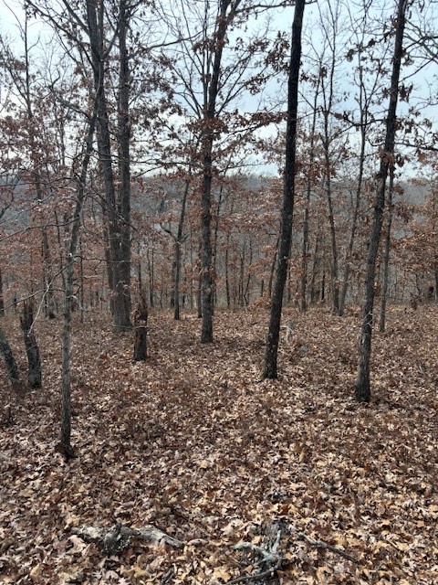 This prime building lot is nestled near the newest and largest Lake Loch Lomond in Bella Vista which is known to provide endless year-round enjoyment! Located approximately 1.5 miles from Branchwood Recreational center, residents will have convenient access to an array of amenities including golf courses, lakeside activities, recreation centers, indoor and outdoor pools, tennis and pickleball courts. The surrounding area also boasts world-class hiking and biking trails, offering a perfect blend of tranquility and recreational opportunities. Additionally, for those interested, a nearby gun range adds to the diverse range of activities available to future homeowners. Seize the opportunity to build your dream home in this vibrant community!