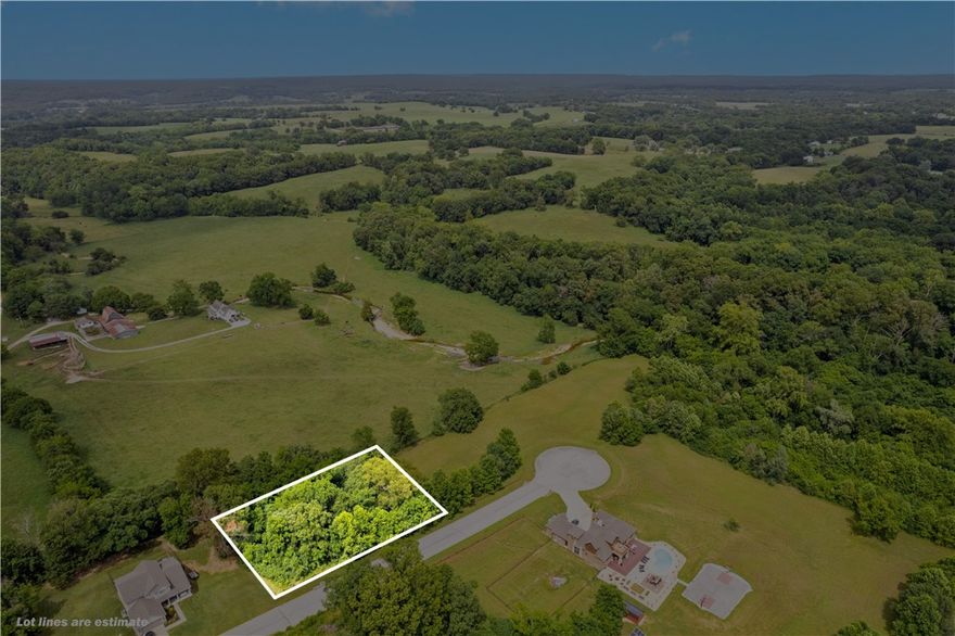 Beautiful +/- 0.71 acre tract just north of all schools in Pea Ridge! This lot is out of the flood zone and is perfect for building your dream home! Nestled within Creekside Estates, a small subdivision of just 17 estate homes. Situated approx. 2.3 miles from Pea Ridge High School, 3.1 miles from Walmart Neighborhood Market, and 20 minutes from Walmart's New World HQ Campus. On-site septic is needed, water access is available on the other side of Bridgeford Dr. Enjoy the perfect blend of natural beauty and convenient location in this serene setting.