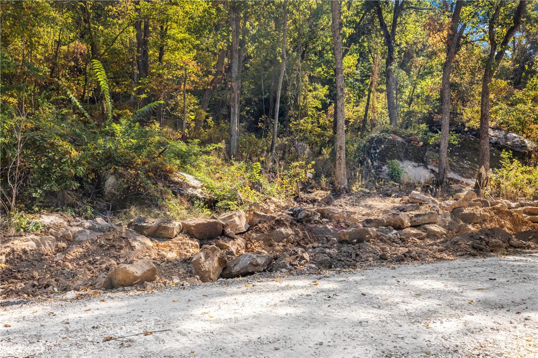 Welcome to Lot 116 (1.10 m/l ac) at Round Mountain Estates. A very tree shaded lot with unique boulders and Round Mountain bluff line lying to the east. This lot also offers ownership across Significance Summit so you can clear your own property to create as big of a view as your heart desires! RME is a new, master planned, exclusive subdivision located 10 minutes west of Harrison, AR. The following utilities are already on site making the building process much easier for you; natural gas, fiber optic internet, electric, public water, and sewer. Interested in your family seeing the star lights instead of those city lights? RME is what you've been searching for! RME features a 350 +/- acre common area for its residents that includes a stocked fishing pond, Kissing Rock trail, natural springs to explore, Baby Canyon trail, incredible bluff lines to climb, and views for hundreds of miles that will not only take your breath away but will forever be etched in your memory! Neighborhood amenities coming soon.