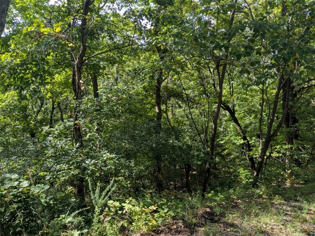 Unit 7 Holiday Island - Land