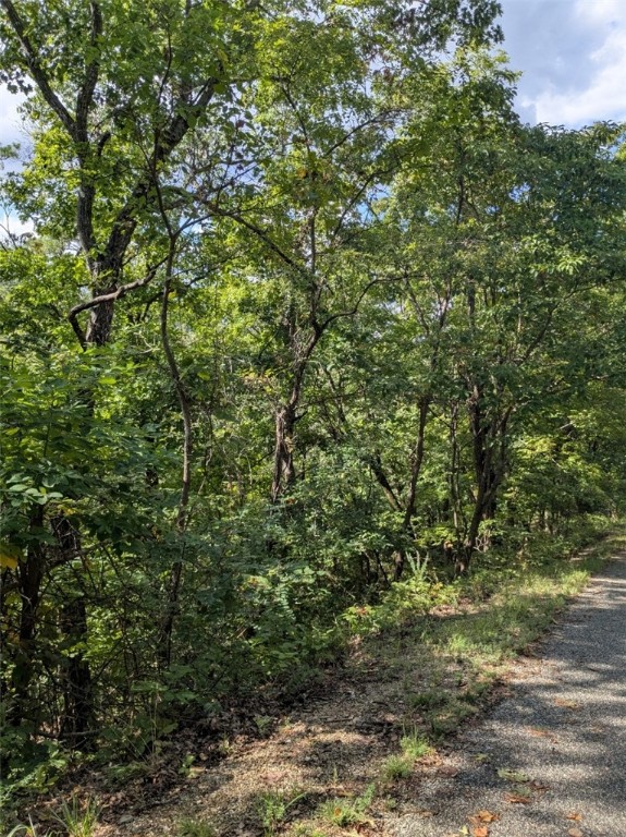 Unit 7 Holiday Island - Land