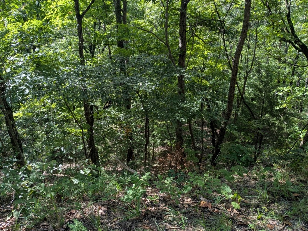 Unit 7 Holiday Island - Land