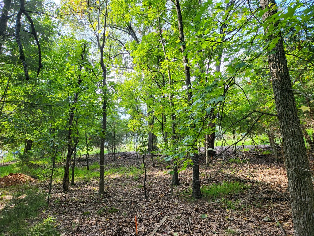 This beautiful almost 1 acre lot is the perfect spot to build your dream home. Situated just 5 minutes from Prairie Creek Marina offering you the best of living by the lake. It is also 10 minutes from Downtown Rogers and Lake Atalanta. It is located in an established neighborhood.