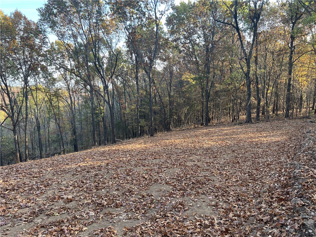Nice View with a private building site. The property features a seasonal creek and lots of hardwood trees. There are no property restrictions and electric is available.