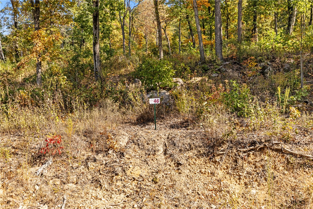 Round Mountain Estates - Land