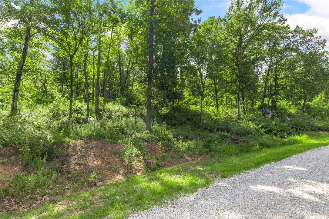 Round Mountain Estates - Land