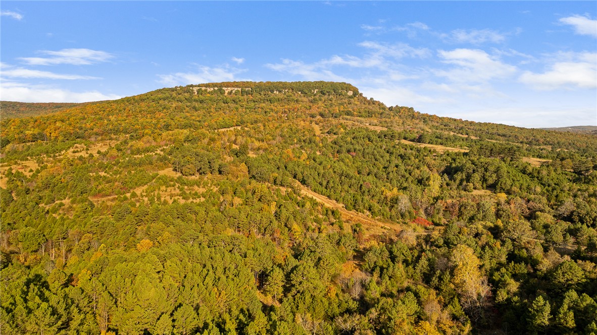 Round Mountain Estates - Land