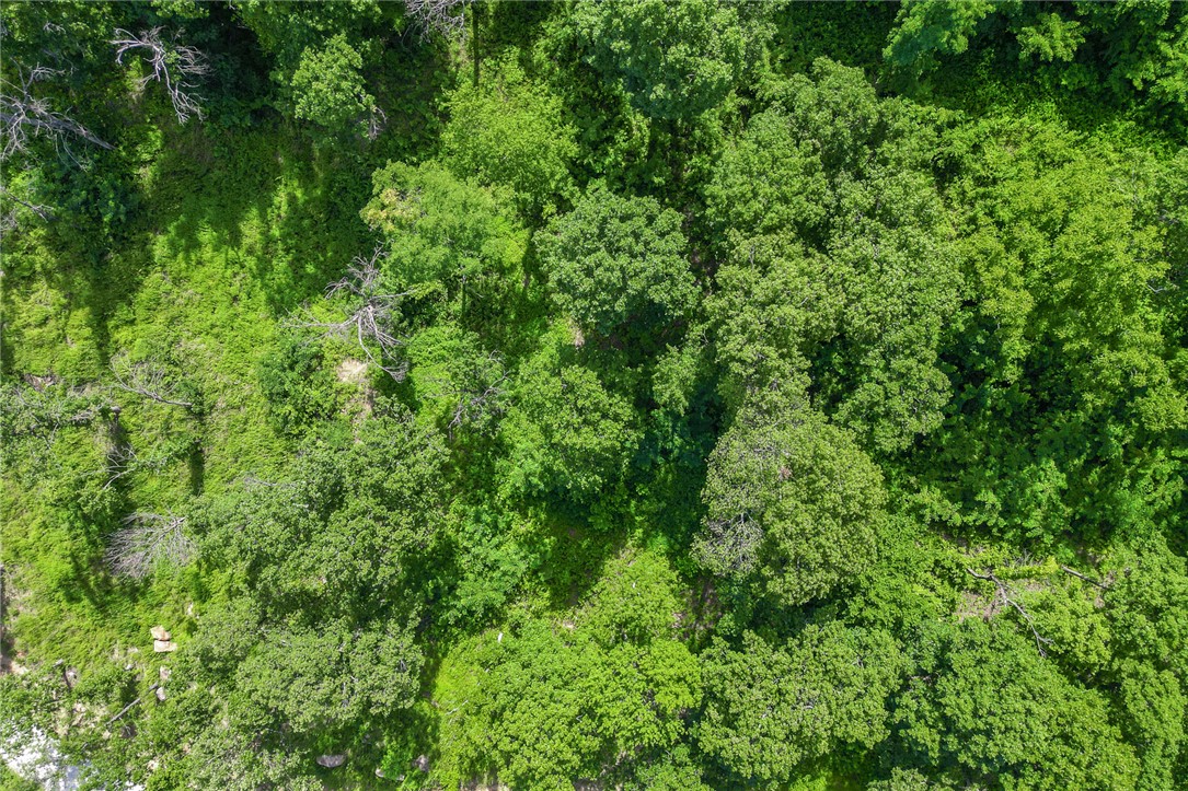 Round Mountain Estates - Land