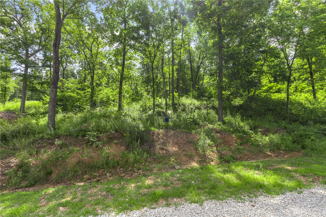 Round Mountain Estates - Land