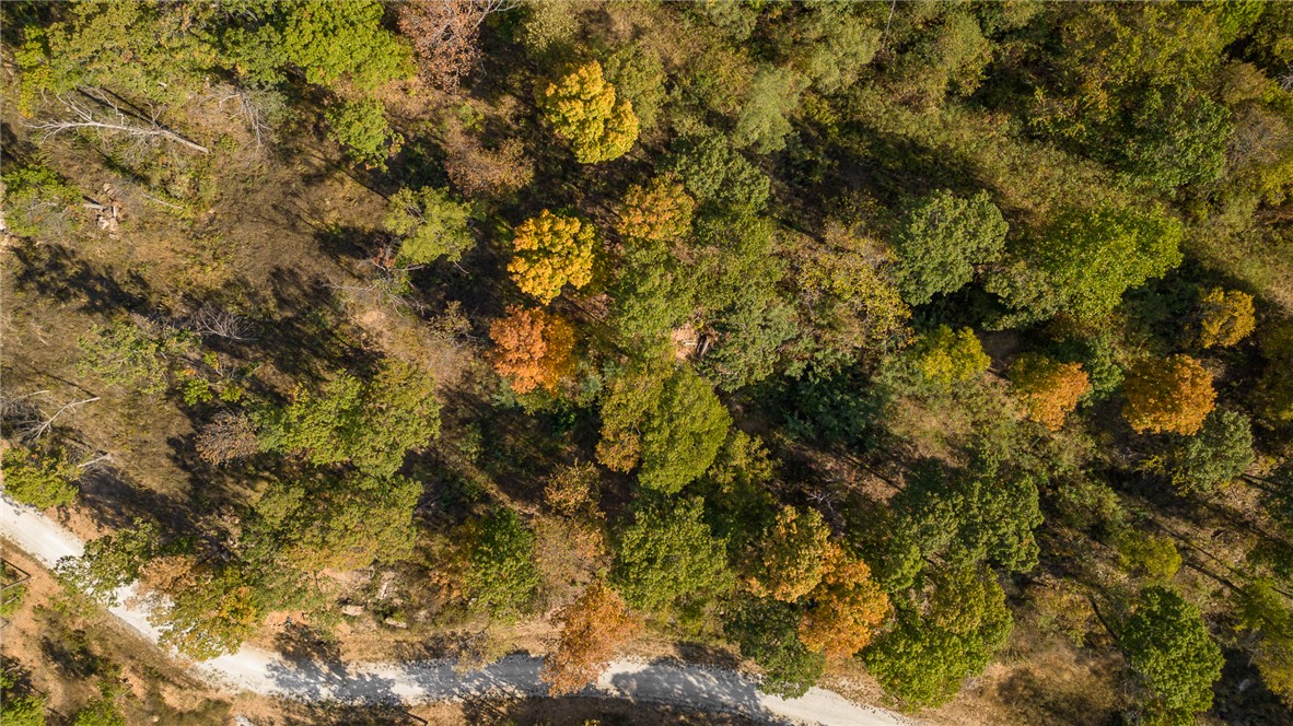 Round Mountain Estates - Land