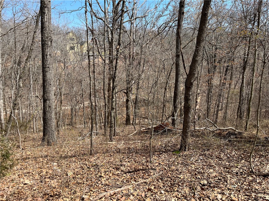 Nice Large .42-acre Pie Shaped Buildable Lot, Soil Analysis Available, Lot in Cul-De-Sac with Common Property Behind for Wooded View and Privacy, Bentonville School District, Possible to Ride onto SBAT Trail Behind Lot or .4 miles to Skip Town Connector Across Trafalgar Road, Lake Ann Boat Launch 1.7 miles, Metfield Club House / Recreation Center 2.5 miles, Short Drive to Town Center Businesses, Bella Vista POA monthly Fee $16 - allows access to (7) Lakes, (6) Golf Courses, (2) Outdoors Swimming Pools, (1) Indoors Swimming Pool, (3) Workout Centers, Tennis Courses, Disc Golf, Gun Range, Golf Driving Range, Walking Trails, 100+ Miles of Mountain Biking Trails, (1) Sandy Beach, Pro Golf Shops, Fishing Docks, and much more.