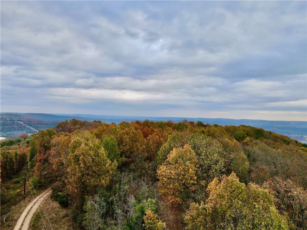 This 100 +/- acre Ozark mountain property is true gem, with big views and multiple build sites. The land has level mountain tops, gradual slopes, large wooded flats, and beautiful rock formations. Let's not forget the timber, as it's quality and size is phenomenal, with large mature white oak, red oak, walnut, and hickory found throughout, creates an immaculate pristine feel. Situated between Eureka Springs, AR and Berryville, AR.; the commute to either is quick and easy being only 1 mile from Highway 62. Also situated within 4 miles of the Kings River access and within minutes of Table Rock Lake, or Beaver Lake. Upon entering the tract, you'll find a nice road that flows through the timber leading to a large cleared ridge top with amazing views. Combine that with electricity lines onsite, you have an amazing head start to your new home build. The land is un-restricted and with lots of level benches, your sure to find the ideal building spot for a family dream home, cabins, hunting or endless recreational fun.
