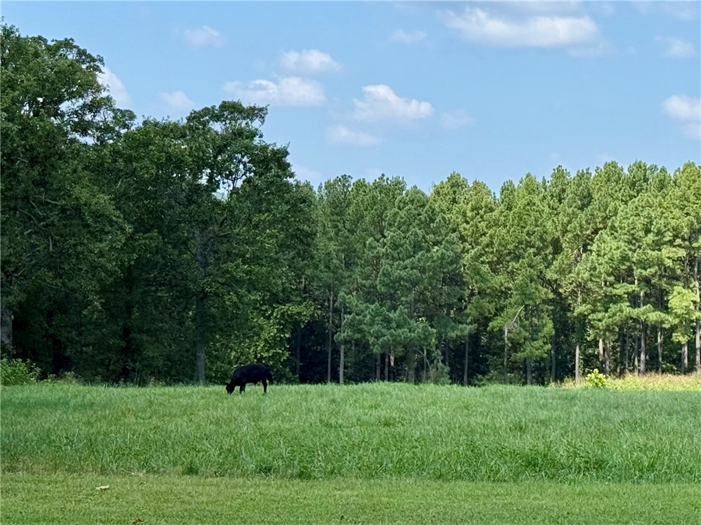 Huntsville City - Residential