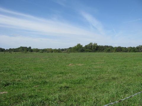 13531 N Mount Pleasant Road Gravette AR 72736