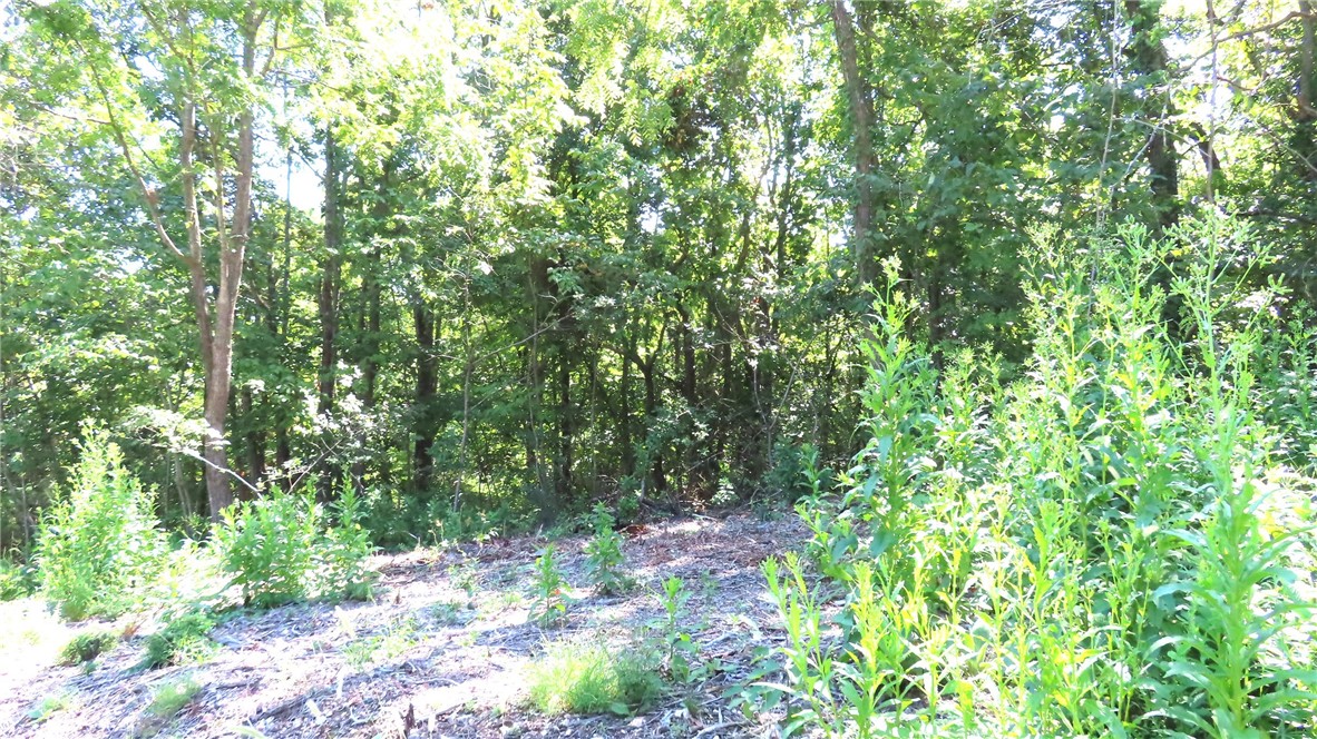 Imagine riding your bike right from your garage to the Down Under Loop Trail only 200 yards away! You'll be so close you can be on the trail in minutes, and afterwards you'll enjoy being a short 5 minute drive from the main Bella Vista shopping and entertainment area and the Bella Vista Bypass. This lot is wooded with a downward slope to the north which could make for a great walkout basement or garage arrangement. The views from the lot to the north are stunning! There are very few lots like this with so much to offer for this price. Come out and see it today!
