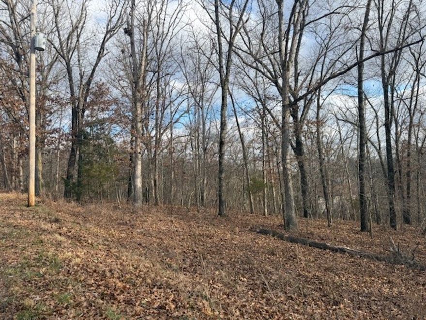 Fantastic lot on the Back 40 Trail system. Power pole at the street, gentle slope with lots of beautiful trees, not a through street so minimal traffic! Bear Hollow Trail access with blue and green trail heads to easily and safely get on the mountain bike trails. Lot perked for a 3-4 bedroom home in the past. Lot is agent owned.