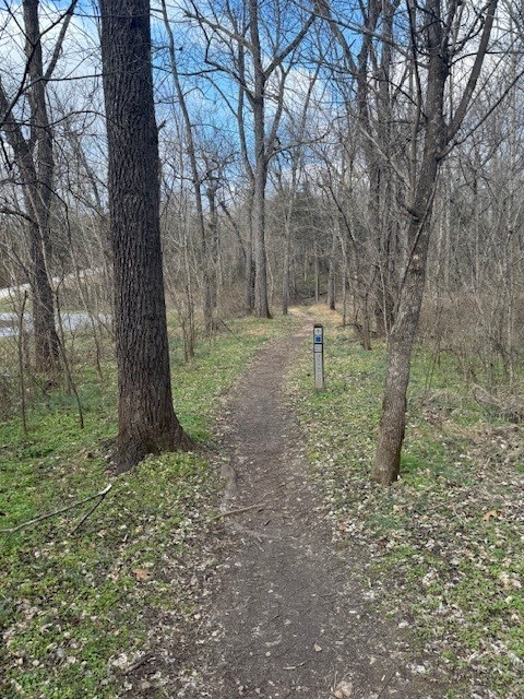 Cleveland Hills Sub Bvv - Land