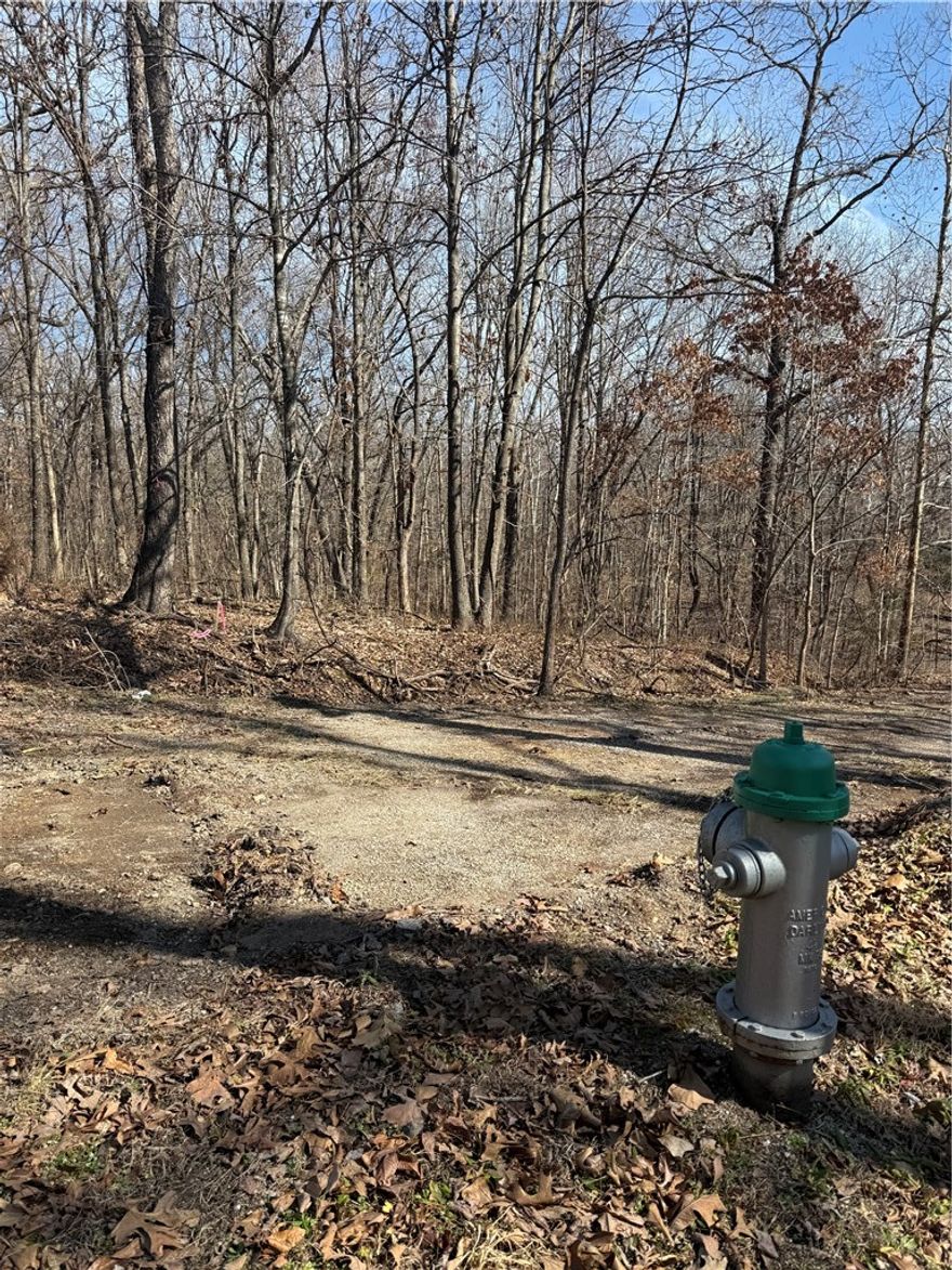 Rare Opportunity in East Bella Vista! Discover the perfect canvas for your custom home on this stunning, wooded parcel in the highly-coveted Tilton Subdivision. Perfectly positioned for those who crave a balance of Ozark tranquility and world-class adventure. A lush, mature tree canopy provides natural privacy and a peaceful "treehouse" atmosphere for your future back deck.