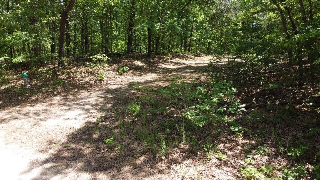 0.29 Acre Lot being sold as a Membership lot. Steep and Remote Lot with no road access. Purchase to enjoy all that Bella Vista has to offer with Golf Courses, Dining, Recreation Centers, Biking, Walking Trails. Lot does have a current 2BR perc soil test.