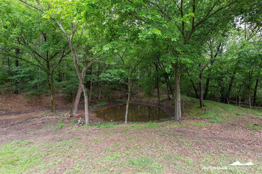 Tontitown Outlots - Residential