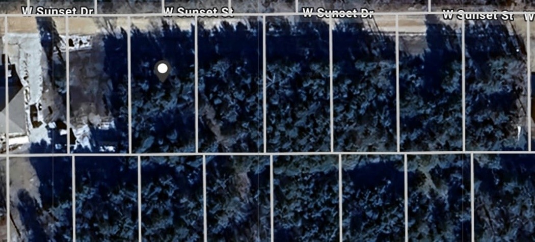 Wooded vacant lot