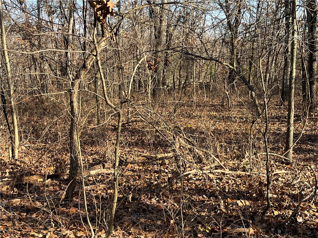 Wow! Level interior .36 -acre lot, close to Lock Lomond Lake, paved cul-de-sac road, pec. test available, electric & water available, Gravette School District, Highland Golf Course & Scotsdale Golf Course nearby, Branchwood Recreation Center 1.6 miles, Quick access I-549 within 5 miles, Enjoy Amenities of Bella Vista! POA Lot monthly Fee $16 - allows access to (7) Lakes, (6) Golf Courses, (2) Outdoors Swimming Pools, (1) Indoors Swimming Pool, (3) Workout Centers, Tennis Courses, Disc Golf, Gun Range, Golf Driving Range, Walking Trails, 100+ Miles of Mountain Biking Trails, (1) Sandy Beach, Pro Golf Shops, Fishing Docks, and much more.