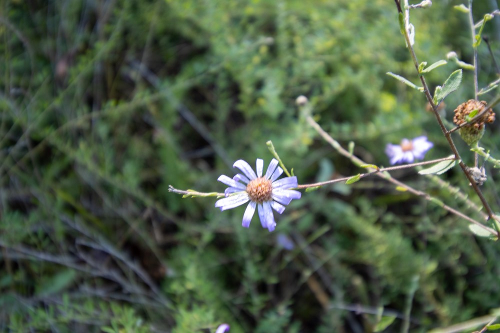 White River Valley - Land