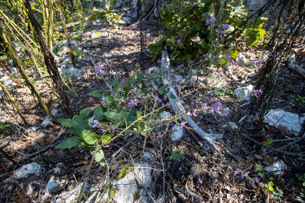 White River Valley - Land