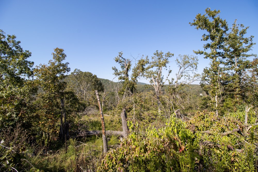 White River Valley - Land
