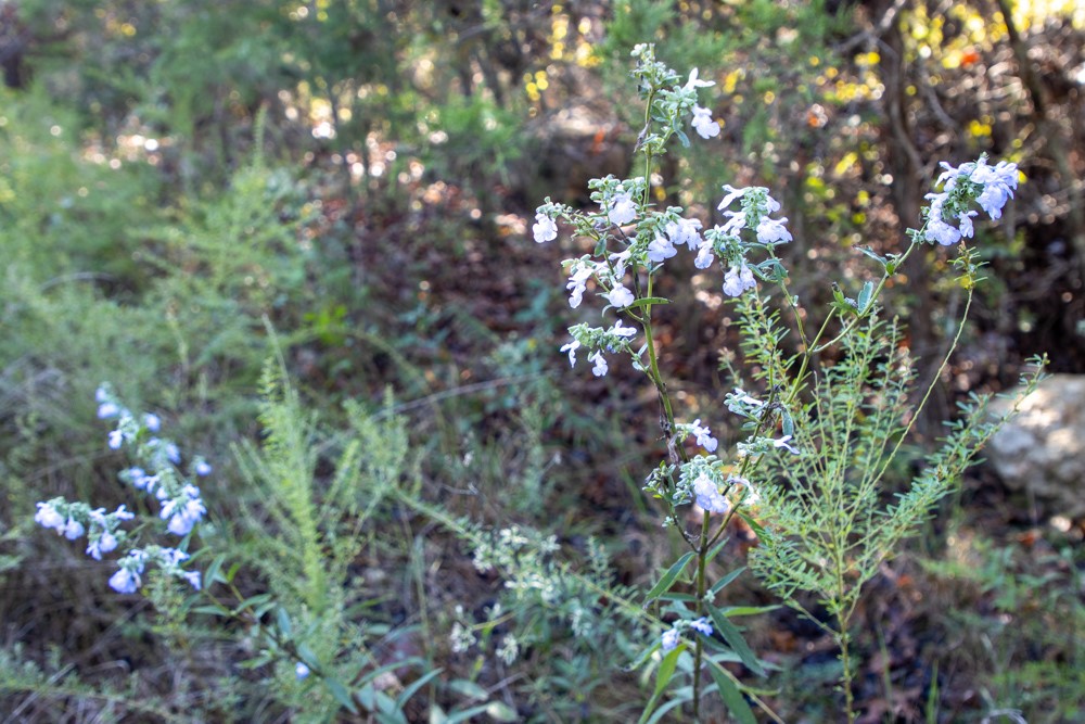 White River Valley - Land